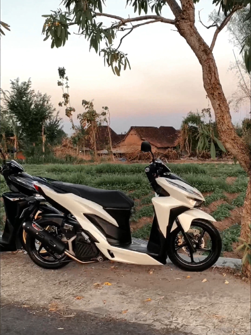 pesona body std🫨🫨 #fyp #vaazii #vario #varioputih #variogen1 #variolednew #vario125 #vario150 #variogank #cleanlook #oemlook #cinematicvario #properstyle #CapCut 