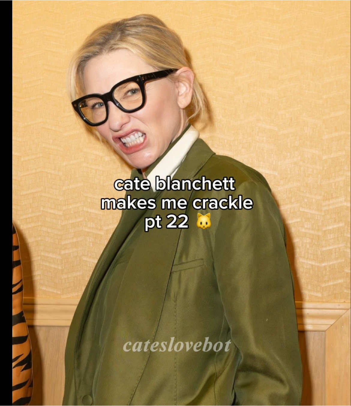 who is this DIVA 💜 #cateblanchett #cateblanchettedit #cateblanchettt #funny #cateblanchettfunny #lol #compilation #fyp #middleagedactresses 