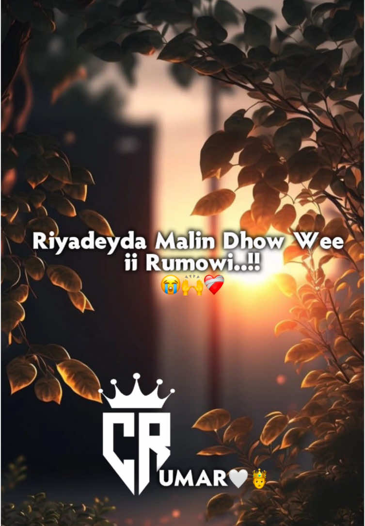 Riyadeyda Malin Dhiw wee ii Rumowi🙌😍#🥺💔 #umar_lyrics15🤍🤴 #somalilyrics🌺😕💎 #fouryou #musica #fyb #xikmad #fylpシ 