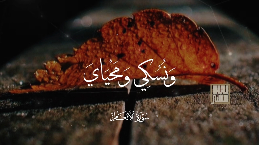 الشيخ عبد الناصر بيه حرك♥♥ .  #quran #حرك#قران  #عبدالناصر_حرك 