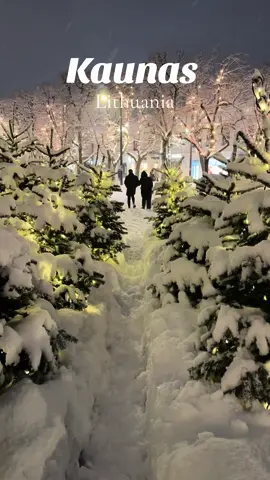 “Winter in Kaunas is pure magic! ❄️ From the charming Old Town covered in snow to the cozy cafes serving hot chocolate, this city knows how to embrace the season. Whether you’re exploring historic sites or enjoying the holiday lights, Kaunas offers a winter experience like no other. Come and see the beauty yourself! 🌨️✨ #WinterInKaunas #KaunasMagic #SnowyDays #LithuaniaWinter #ExploreKaunas #CozyVibes #TravelLithuania #WinterWonderland #VisitKaunas” 