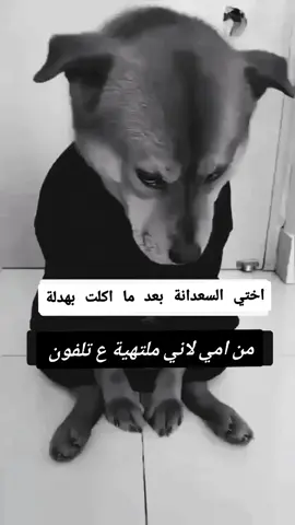 #في هذا اليوم #تابعوني_انستغرام🤏 #لاتشاهد_وترحل_دعنا_نرى_لك_اثر_طيب🌹 #تصاميم_farah_al_hyaat #قهوتي_farah_al_hyaat #قهوتي_farah_al_hyaat🤎☕ #قهوتي_farah_al_hyaat🧡 #قهوتي_farah_al_hyaat🤎 #farah_al_hyaat #سردات_farah_al_hyaat 