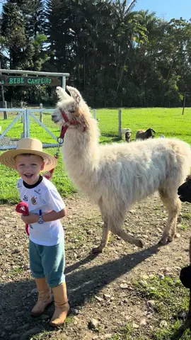 Um abençoado sábado a todos nós 👨‍🌾🦙😍❤️🙏🏻🙌🏻
