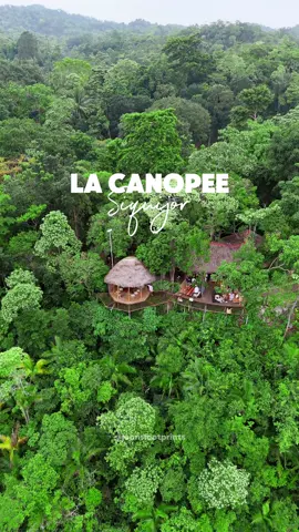 Found this laid-back restaurant with an incredible view, especially at sunset! Tucked in the lush greenery mountains of Siquijor, @lambojon_terraces provide a serene atmosphere, sumptuous meals and a refreshing environment. I highly recommend this place when you go to Siquijor! ✨ #lacanopee #siquijor #wheretoeatinsiquijor 
