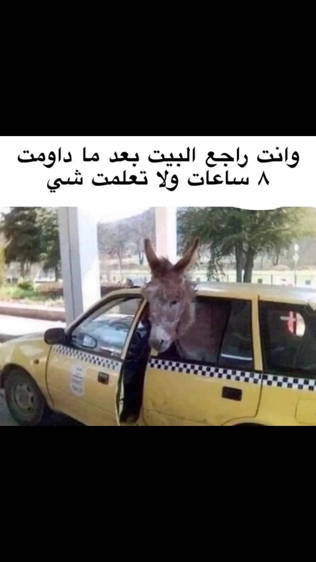 #مدارس_العراق #😔😔 #اكبسلور #😂😂😂😂😂😂😂😂😂😂😂😂😂😂😂😂😂😂😂😂😂😂😂😂😂😂😂😂😂😂😂😂😂😂 