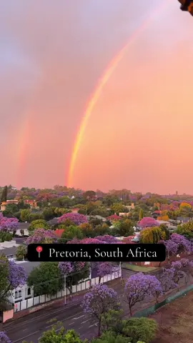 No place like home 🇿🇦
