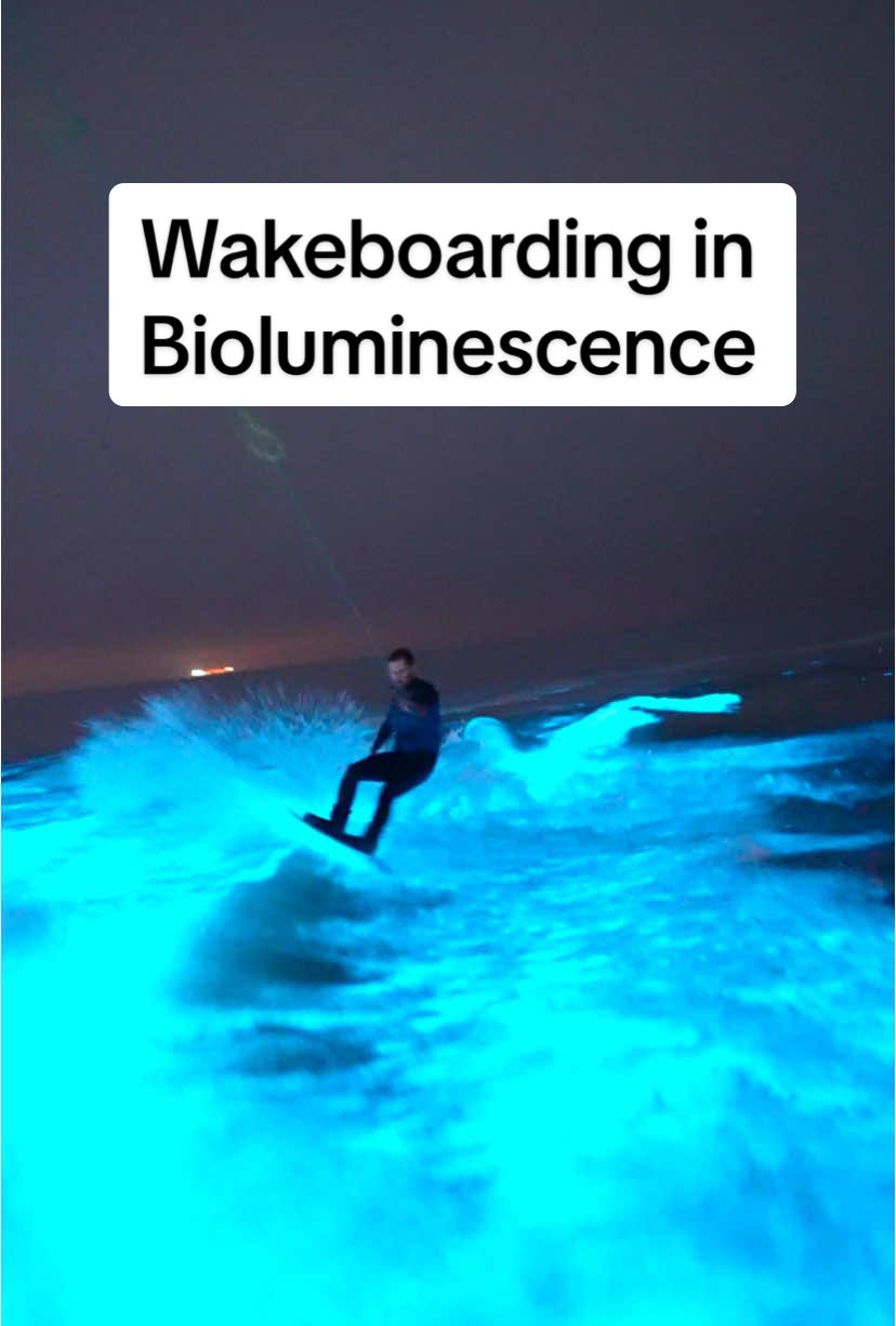 Wakeboarding in bioluminescence 🤯. Last night was absolutely wild. The bio was very bright and the seas were calm. @Derek O'Donnell was shredding on the wakeboard! #bioluminescence #wakeboard #marinadelrey #glowing 