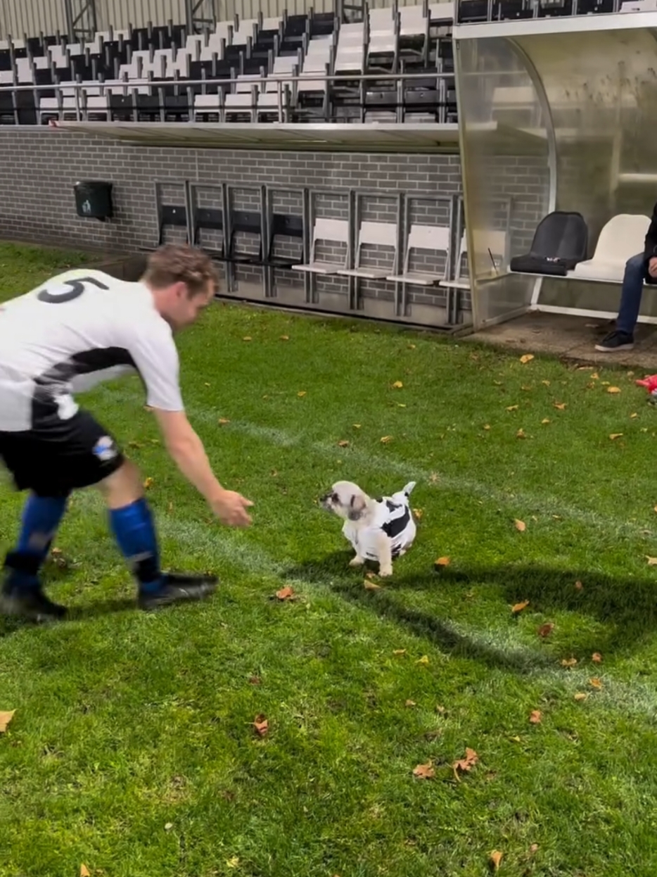 funny football moments 😂 #fyp #foryou #foryoupage #football #footballvideo #footballtiktok #footballfunny #tiktokviral #fy 