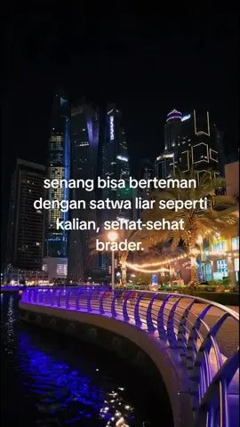 #fyp #foryou #xyzbca #ALstory⚡ 