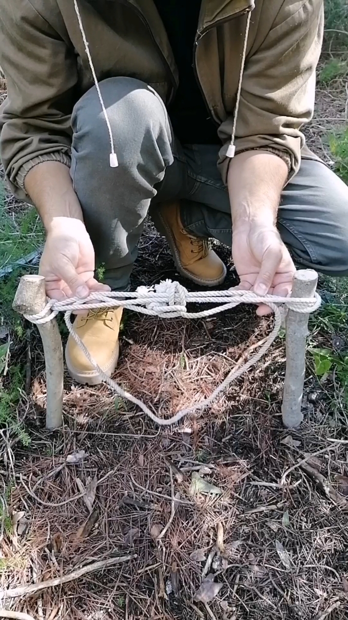 Trap #bushcraft #trap #bushcrafting #survival 