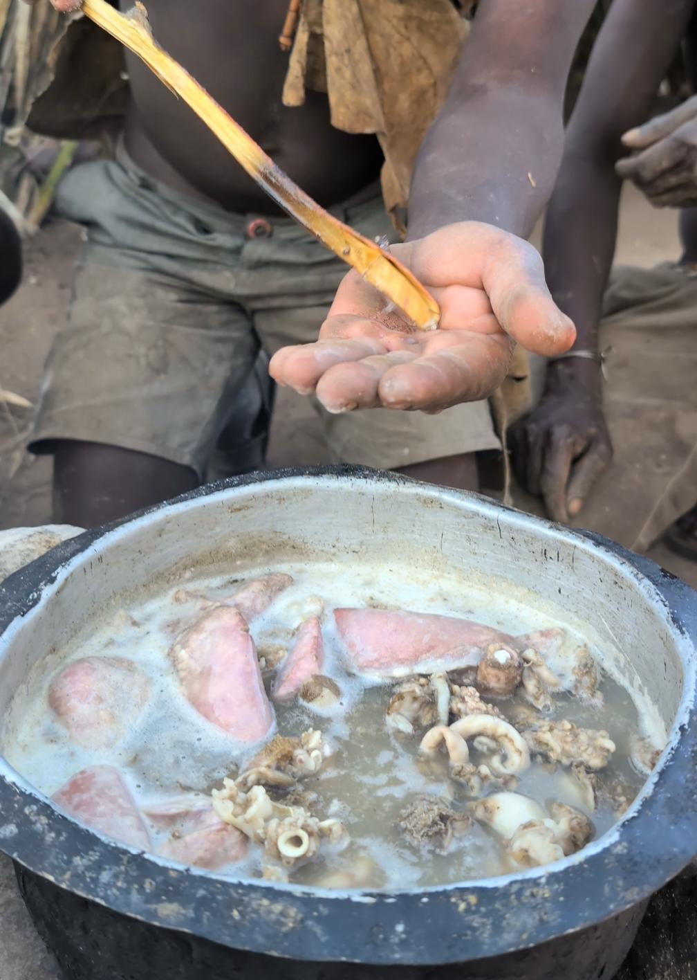 The best chief taste the spices 😋‼️ So delicious natural Soup cooked by bushmen middle of forest #hadzabetribe #africastories #tiktokindia #UK #USA 