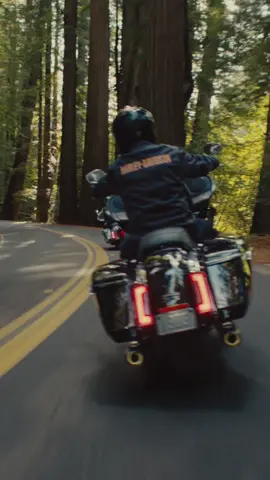 We're a little biased, but this wouldn't be as fun in a car. Hit the link in bio to learn more about the 2024 Road Glide or head to your local dealership to throw a leg over and start exploring. #HarleyDavidson #RoadGlide