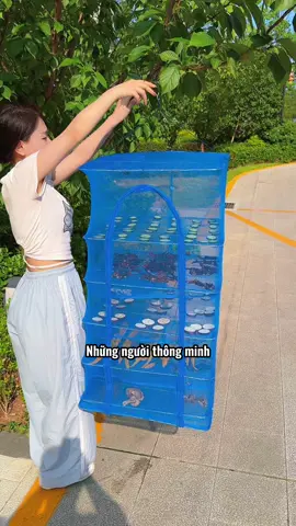 Chị em thích ăn đồ khô tại nhà có thể mua túi lưới sấy nhiều lớp này, không chỉ tiện cho việc phơi khô mà còn dễ bảo quản!! #longphoithucphamkho #tienich #giadungnhabep #creatorsearchinsights #thietthuc #jizonguyen 