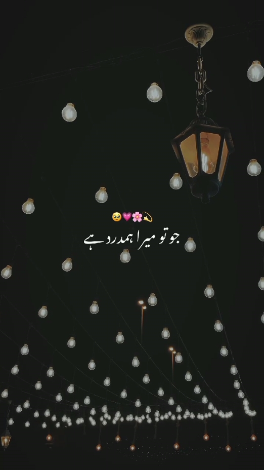 Jo tu mera hamdard hai❤️✨#songlyrics #arijitsingh #foryou #foryoupage #unfrezzmyaccount #unfreezemyacount #videoviral #fyppppppppppppppppppppppp #goviral 