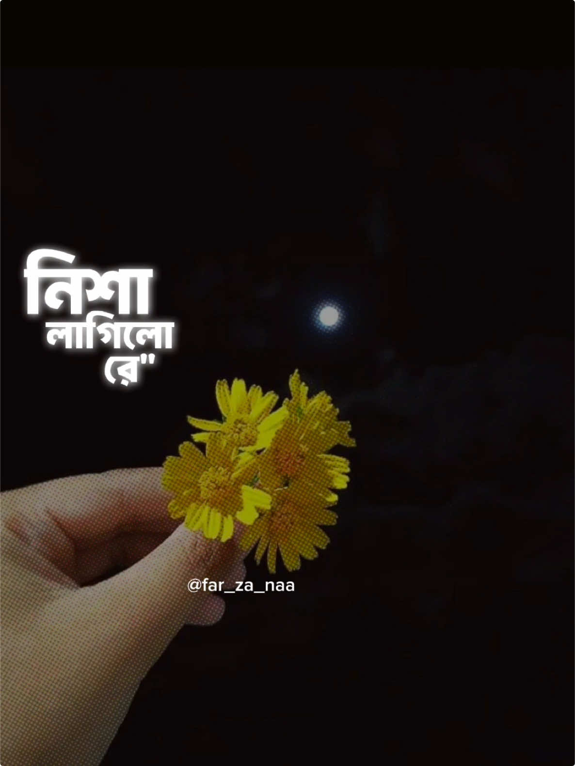 আপনি আমার এক অন্যরকম অনুভুতি; যেমনটা রাতের আকাশে চাঁদের আলোর উপস্থিতি