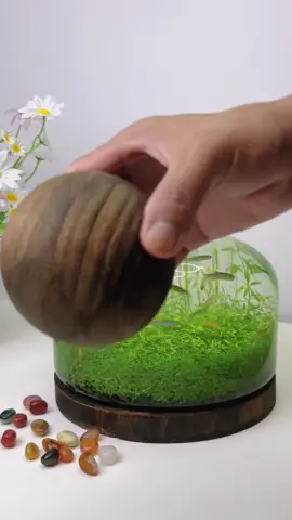 Do you want one?#foryou #foryoupage #fishtanks #fishtoks 