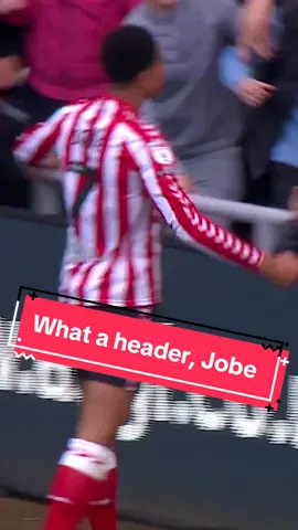 What a header, Jobe 💥 #safc #sunderland #jobe #jobebellingham #goal #efl #championship #football #footballtiktok #footballontiktok 