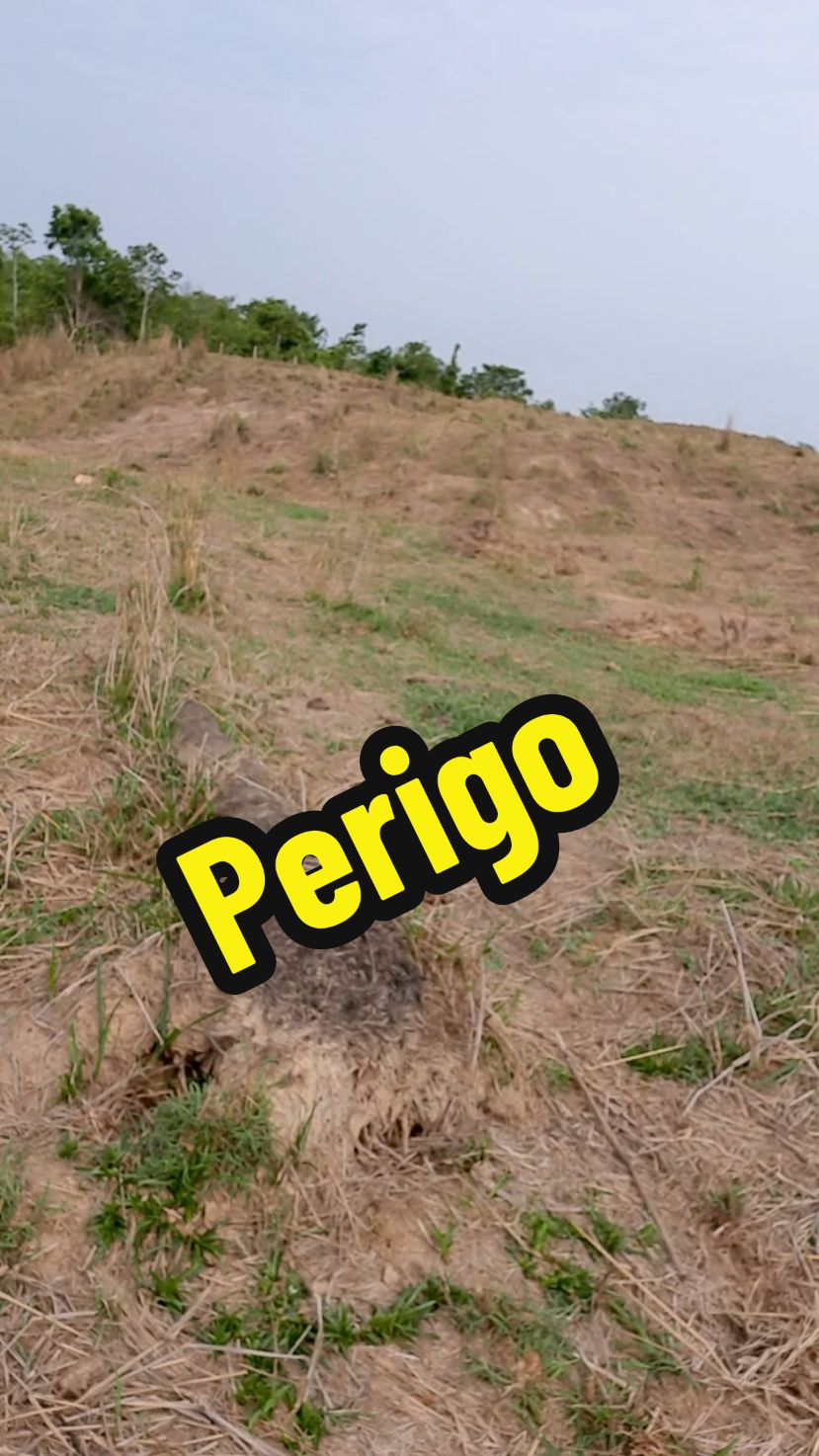 Achei no meio do pasto  #pasto #achado #suspense #vidanaroça  #roça  #tocantins 