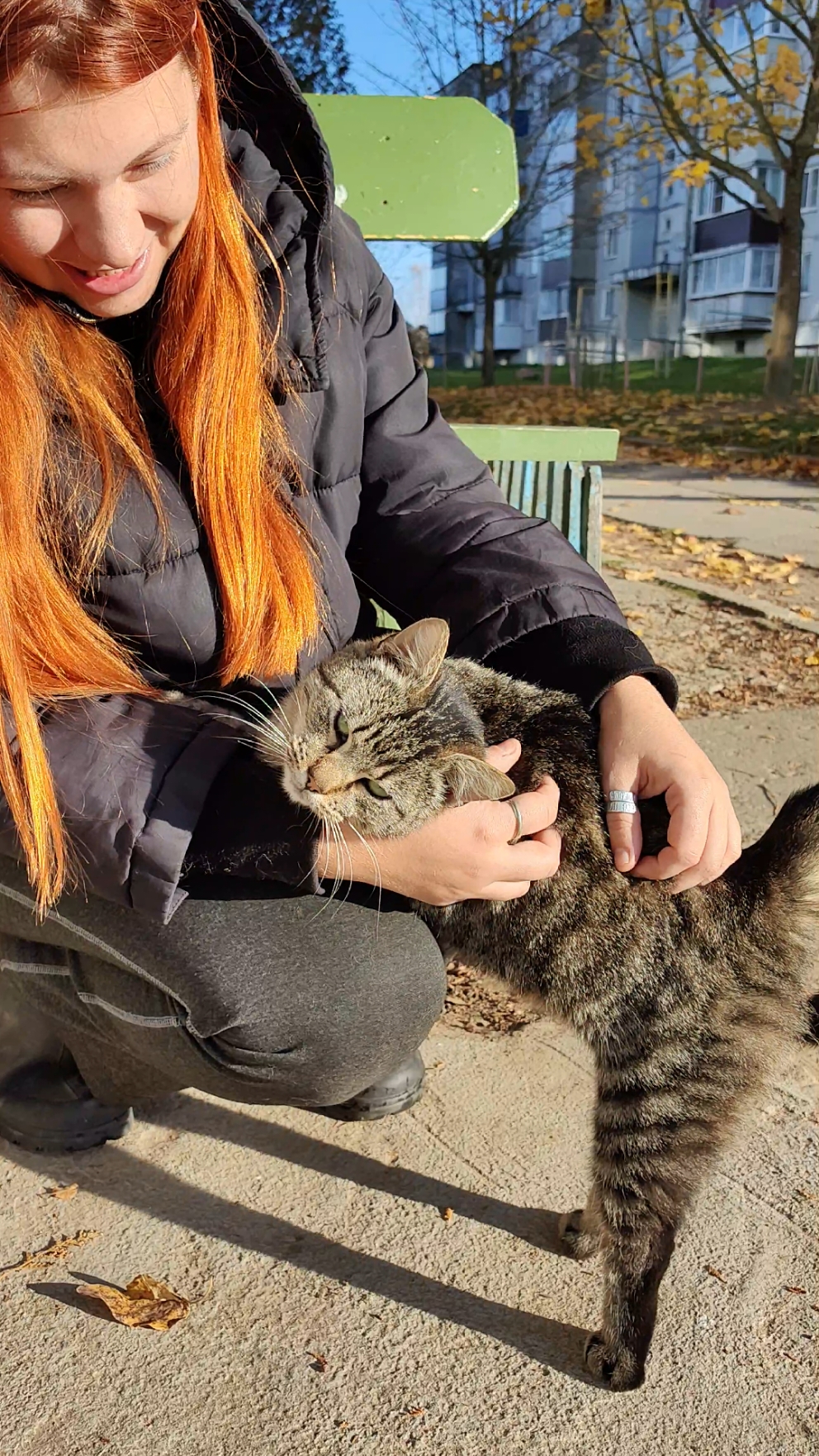 Котик#catlover #cats #коты 