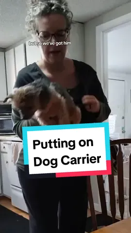 Y'all, they'll just let anybody do a live. 🤪😂 This was my attempt calm my nerves before going live this evening. Think it worked? 😂  #dogcarrier #doglife #dogmom #stayathomedogmom #tiktokfinds #LIVEhighlights #TikTokLIVE #LIVE 