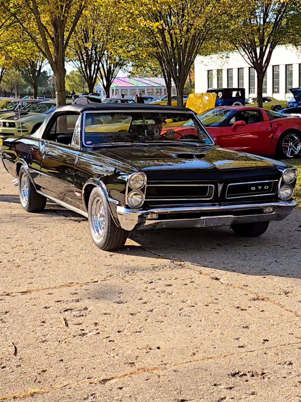 1965 Pontiac GTO Classic Car Drive By Engine Sound Packard Proving Grounds Fall Open House 2024