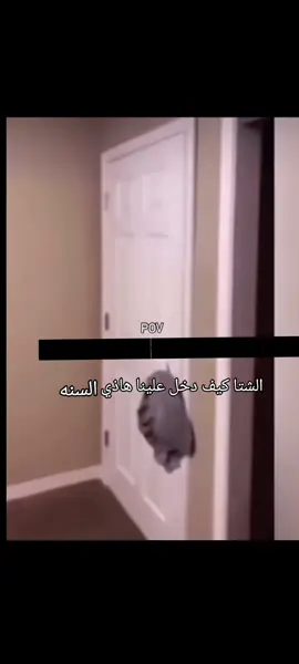 #الضفدع_الفضائي😂😂 