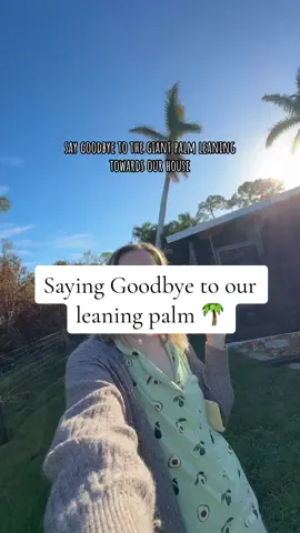 RIP to our poor palm😭🌴