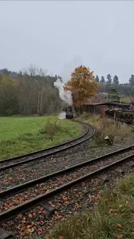 Ein wenig mussten wir kämpfen durch schlechte Gleis Bedingungen in der Steigung #sonderfahrt #henschel #brigade #lok #fy #leistung #zeigen #altbewährt #eisenbahnromantik #narrowgauge #schmalspurbahn #600mm #kobel #dampf #inthewoods 