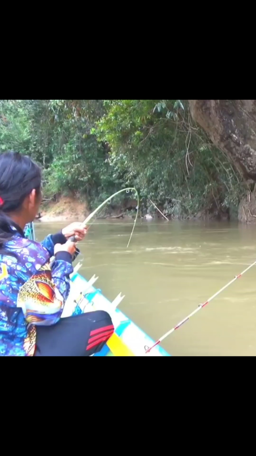 waduh ikan apa narik nya kuat begini gaes #fyp #mbalikmancing #mancingsungai #mancingikan #mancing 