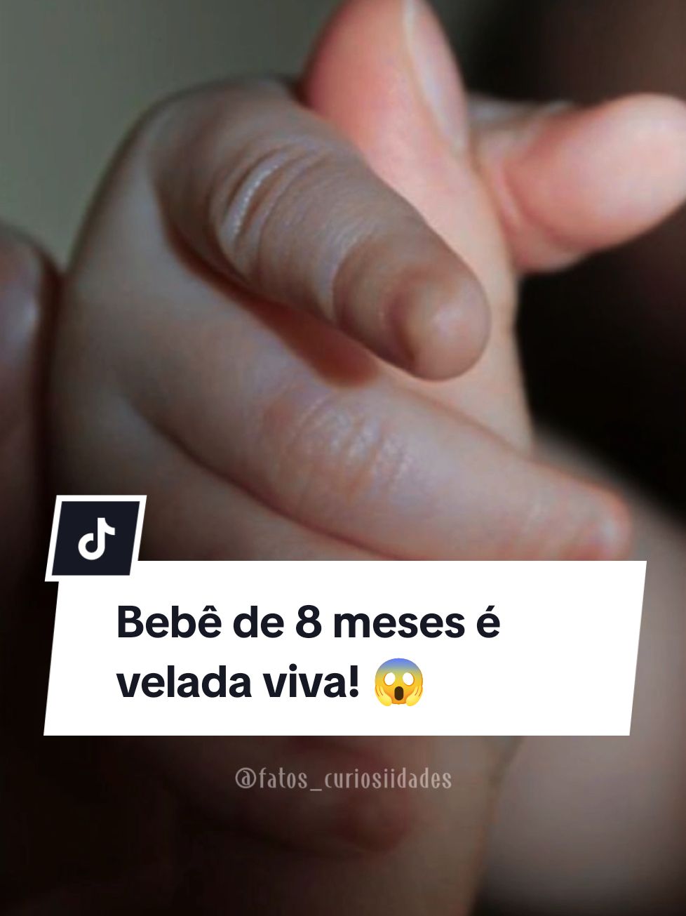 Bebê de 8 meses é velada viva! 😱 #velorio #bebe #noticias #misterio  #luto #santacatarina 