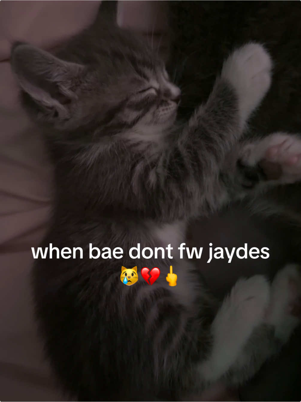 😿