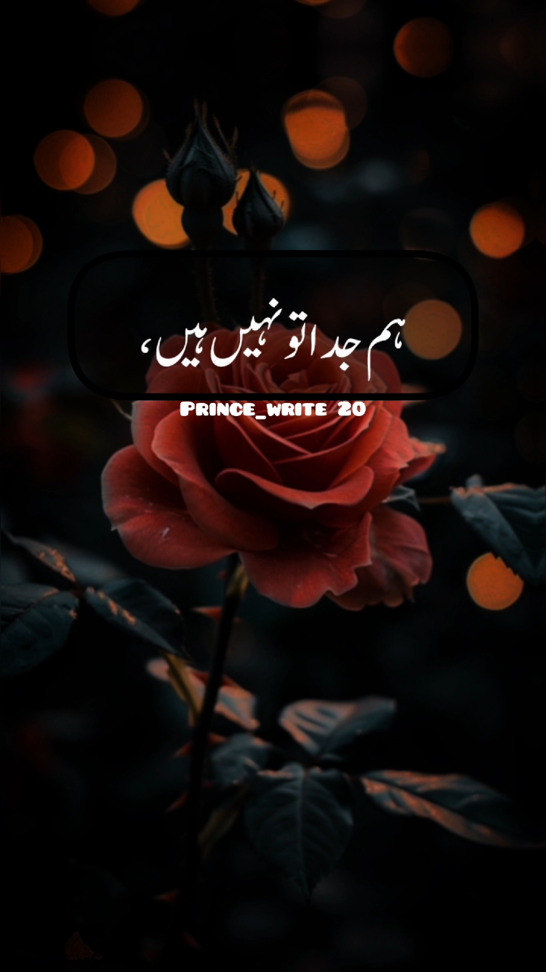 ہم خفا تو نہیں ہیں#fyp #foruyou #forupage #viral? #viralvideo #standwithkasmir #100k #tiktokpakistan #unfrzemyacaount #uktiktok #prince_write20 