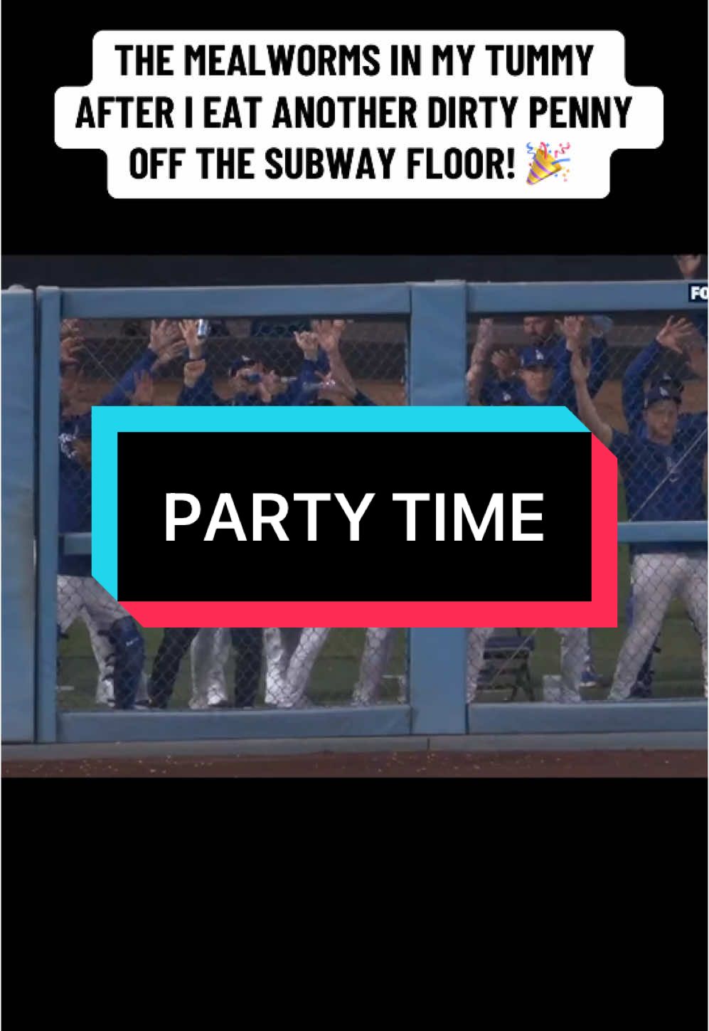 it’s lit! #dodgers #baseball #funny #real #WorldSeries 