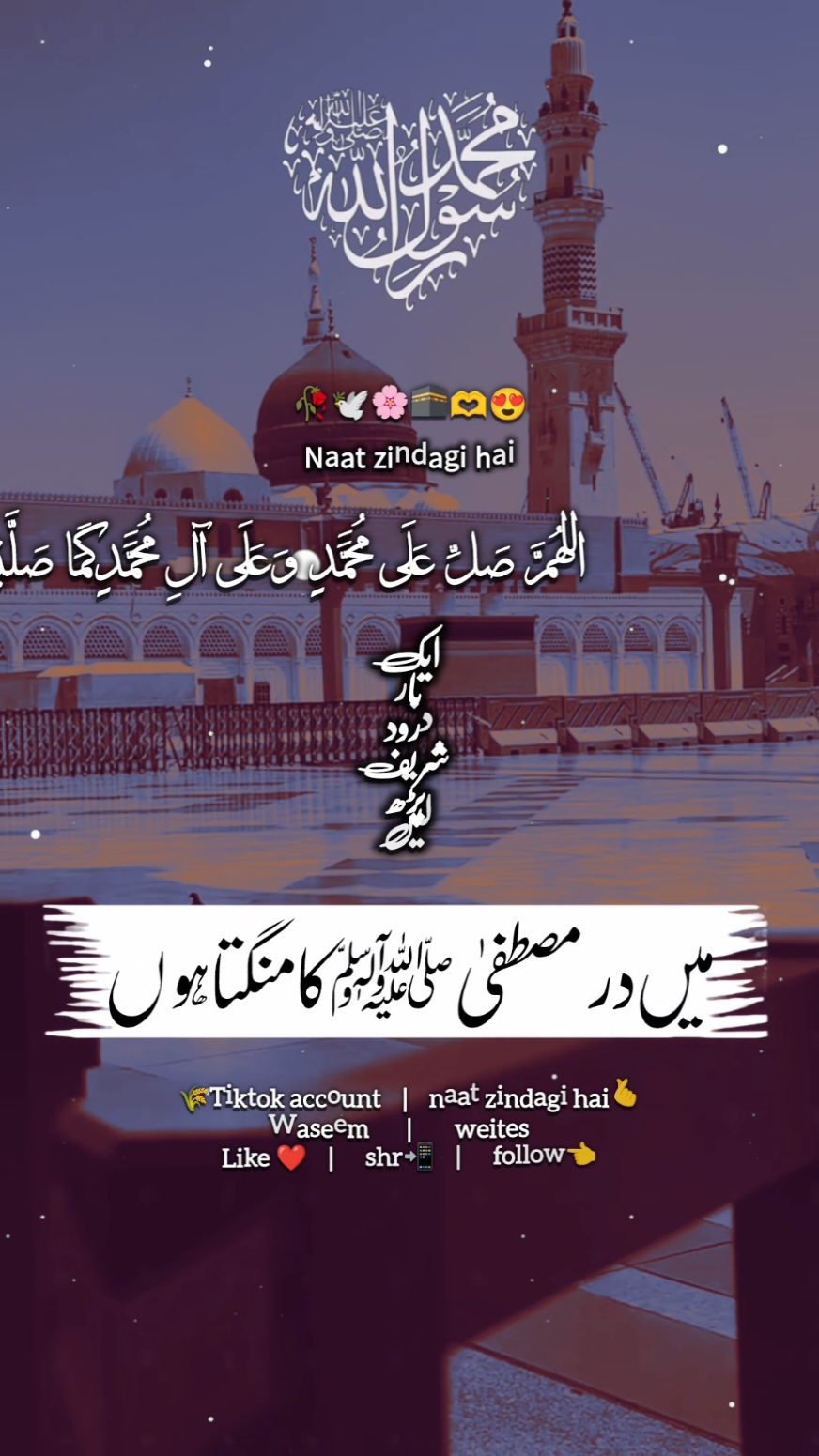 میں در مصطفیﷺکا منگتا ہوں🌺🥰🍁🤲#نعت_رسول_اللہ_صلی_اللہ_علیہ_وسلم #naat_zindagi_hai #madinasharif #وسیم_ڑائیس #islamic_video024 #naatzindagihai 