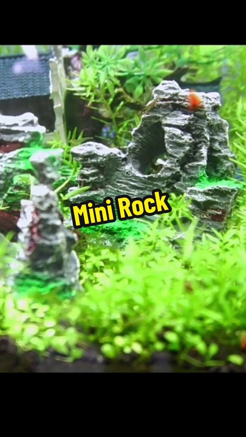 #aquariumdecoration #minirock #fyp #decor #rock #cute #aquarium