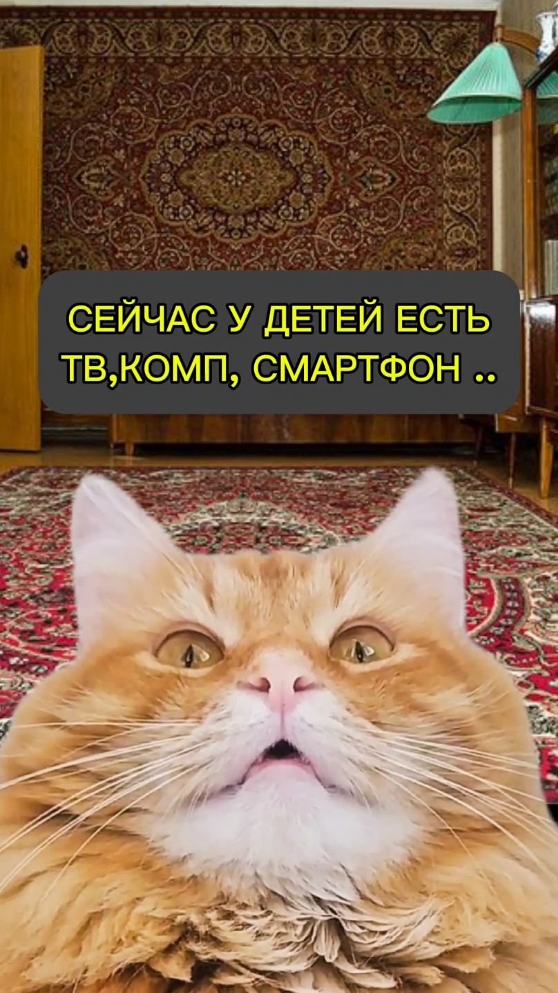 СЕЙЧАС У ДЕТЕЙ ЕСТЬ ТВ,КОМП,СМАРТФОН... КАК Я ПООВОДИЛ ВРЕМЯ В ДЕТСТВЕ... #cat_phoenix #рыжийкотик #рыжийкот #кот #котэ #cat #cats #catlover #cattok #catsoftiktok #catslovers #catsvideo #catstiktok #catslovers #cattiktok #cattiktoker #рыжийкот #рыжийкотик 