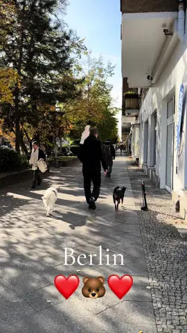 #BerlinCityVibes #HauptstadtPapagei #BerlinParrot #PapageiInBerlin #BerlinHauptstadt #CityBirdBerlin #BerlinPapagei #HauptstadtLife #ParrotInTheCity #BerlinLifestyle #PapageiInDerHauptstadt #berlin  #BerlinCityLife