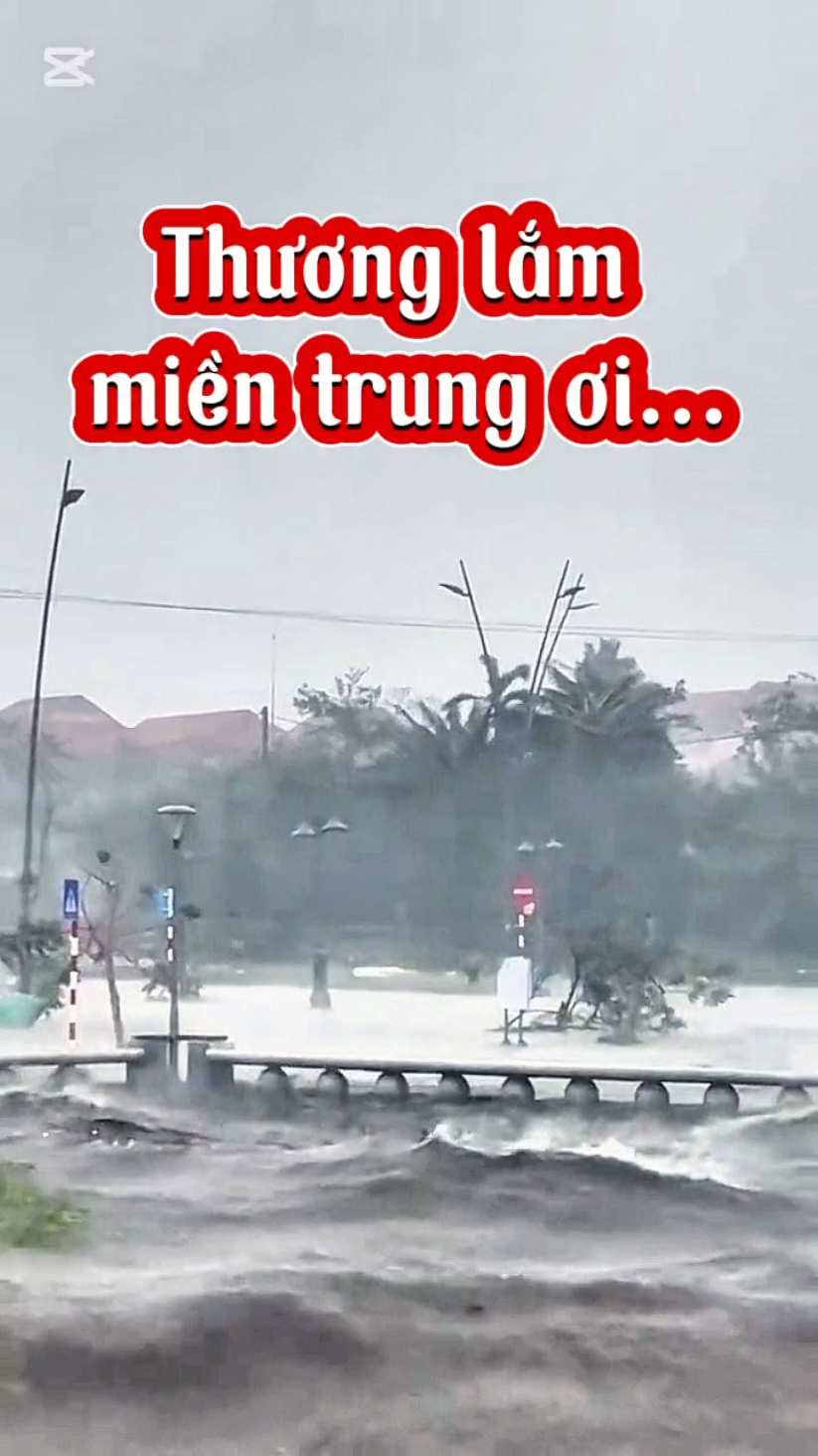 thương lắm miền trung ơi #nhactamtrang #bolaichau #tiktok #CapCut #funny 