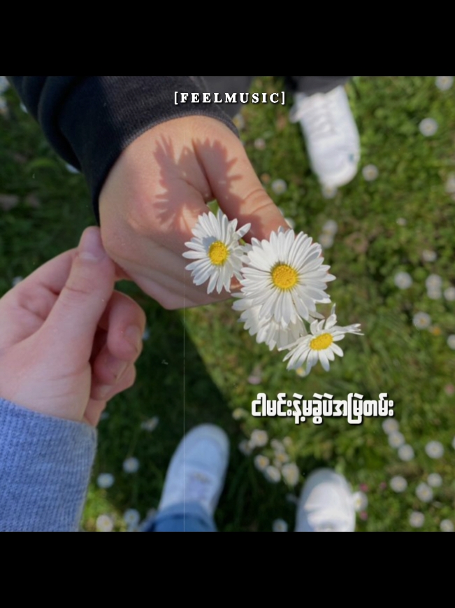 အမှတ်တမဲ့ // 𝐃-𝐕𝐢𝐬𝐢𝐨𝐧 & 𝐋𝐮 𝐇𝐩𝐫𝐢𝐧𝐠 #myanmarsongs #songlyrics #သီချင်းလေးကြိုက်လို့ပါ #မြန်မာသီချင်းကောင်းများ🎧🎧🎸🎺🎼 