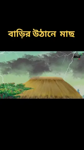 বাড়ির উঠানে মাছ। বাংলা কার্টুন। ঠাকুরমার ঝুলি। bangla rupkothar golpo #বাড়ির উঠানে মাছ #banglacartoon#banglagolpo #banglarupkothargolpo #tiktolofficial #grow #foryou #vairalvideo #cartoon #tiktok #trending #