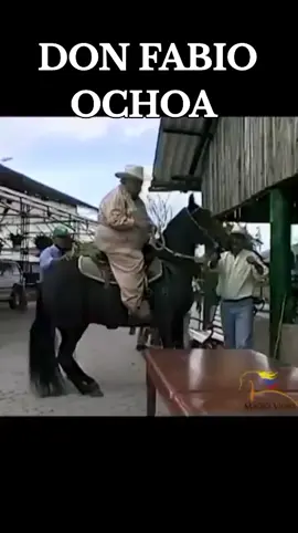 Don Fabio Ochoa #Viral #caballoscolombia #caballostiktok #caballostrochadores #caballocriollocolombiano #paratii #colombia #caballo #pasofino 