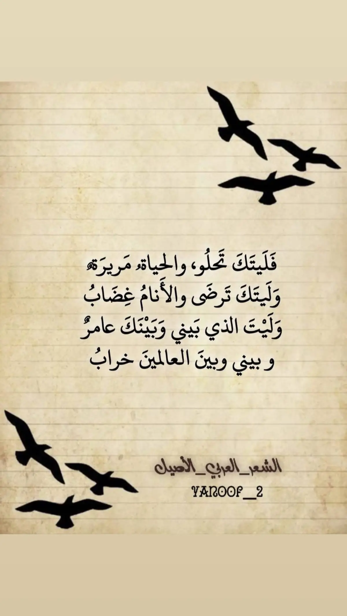 #أبيات_من_الشعر #أدب_عربي #تيك_توك 