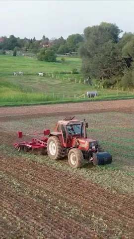 Fiat 180/90 📽️🎞️ #fiat#old#viralvideo🙏🙏🙏#agriculture#farm#fyp 