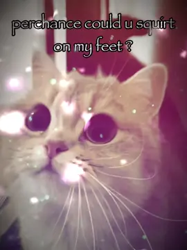 Perchance could you squirt on my feet? #cat #catsoftiktok #sillycat #kitten #vyypilgrim72 #trending #fyp #fyppppppppppppppppppppppp 