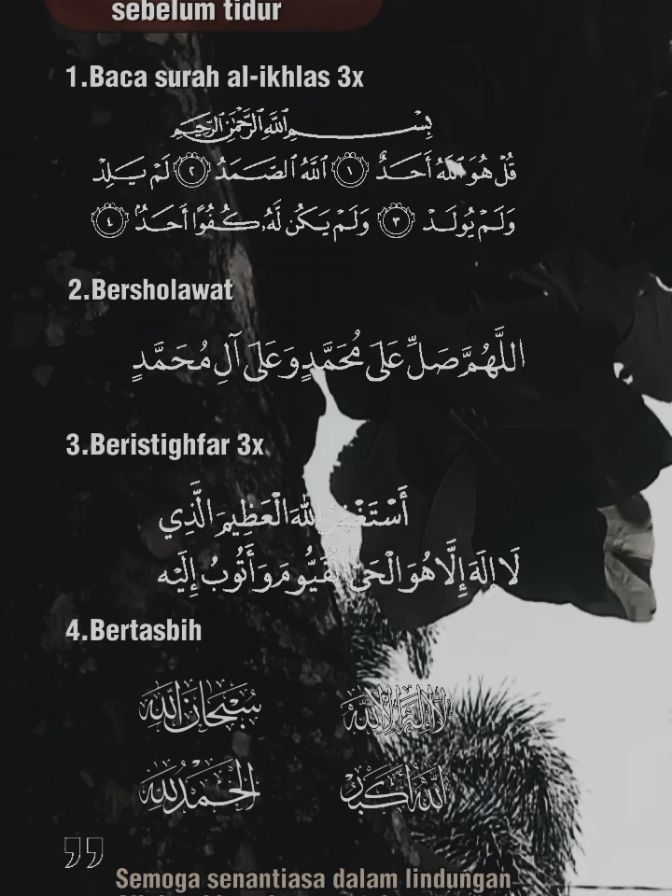 📌Semoga senantiasa dalam lindungan Allah subhanahuwata'ala Amin #bissmillah #amalandoa #amalanbaik #doaharian #doasebelumtidur  #statusvideo  #storyislami  #dakwahtiktok #foryoupage   #fyppppppppppppppppppppppp #masukberandafyp 