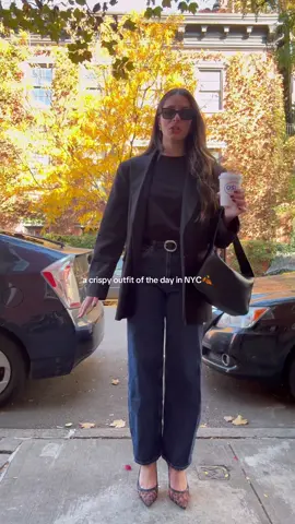 nyc with the foliage!!!! 🍂🫶🏼🤍 #fitcheck #pinterestaesthetic #casualoutfits 