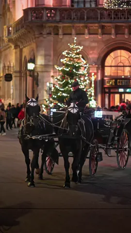 Vienna’s Christmas season is almost here ✨ Get ready to experience the festive magic as the city transforms into a winter wonderland.  The Mostly Christmas markets open on November 15, with the new beautiful market at Schönbrunn Palace and Stephansdom kicking off a week earlier 🎄🌟 And on the same day, November 15, Vienna will light up with over 32 festively decorated streets, a sight you won’t want to miss 💫🌟🎄 Here’s your guide to Vienna’s enchanting Christmas markets: 🎄Schloss Schönbrunn: Nov 8 - Jan 6 💫 🎄Stephansplatz: Nov 8 - Dec 26 ✨ 🎄Maria-Theresien-Platz: Nov 13 - Dec 31 💫 🎄Karlsplatz: Nov 15 - Dec 23 ✨ 🎄Freyung: Nov 15 - Dec 23 💫 🎄Altes AKH: Nov 15 - Dec 23 ✨ 🎄Schloss Belvedere: Nov 15 - Dec 31  💫 🎄Am Hof: Nov 15 - Dec 23 ✨ 🎄Hirschstettner Adventmarkt: weekends from Nov 15 - Dec 24 💫 🎄Rathausplatz: Nov 16 - Dec 26 ✨ 🎄Spittelberg: Nov 16 - Dec 23 💫 In this TikTok, you’ll see some of Vienna’s most enchanting holiday locations: 📍 Christkindlmarkt Rathausplatz 📍 Graben 📍 Albertina / Philharmonikerstraße 📍 Kohlmarkt / Hofburg 📍 Herrengasse / Café Central 📍 Demel 📍 Wiener Rathaus Come visit Vienna 🤗 🎥 ©️ @vienna_visitas #christmasinvienna #viennachristmasmarket #viennainwinter