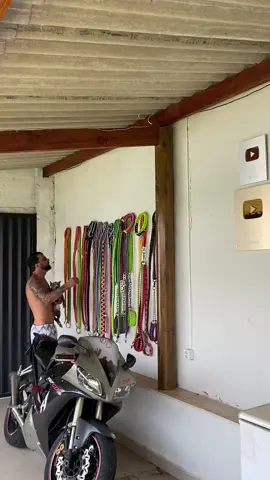 Filho de blue bluezinho é 