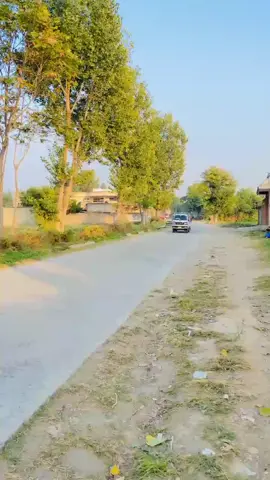 #virarlvideo❤️❤️ #newtrend #trendsongtiktok 