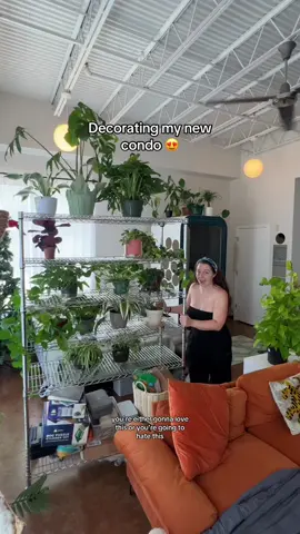 So…. Do you love it? 👉🏼🥹👈🏼  Add interior designer to my resume STAT! I searched the depths of the Internet for a standalone bookshelf with wheels. There really is not many of those. Then I stumbled upon a stainless steel shelf meant for warehouses for just $90! The wheels started turning 🧐 I COULD PUT PLANTS ON IT! I absolutely love how this turned out. I’m really really curious what y’all think?! Lmk!  #condoliving #apartmentdecor #howtodecorateyourhome #plantsmakepeoplehappy #dogtrainer #Lifestyle #warehousevibe